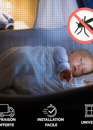 Moustiquaire Scratch Fenêtre