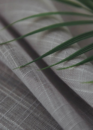 a close up of a plant with green leaves